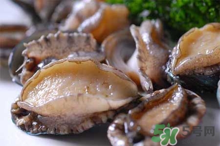 鮑魚能冷凍嗎？鮑魚可以放冰箱冷藏嗎？