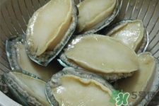鮑魚死后可以放幾天？鮑魚死后多久不能吃？
