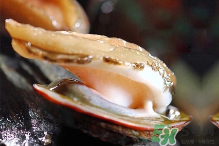 男人吃鮑魚能補(bǔ)腎嗎？腎虛能吃鮑魚嗎？
