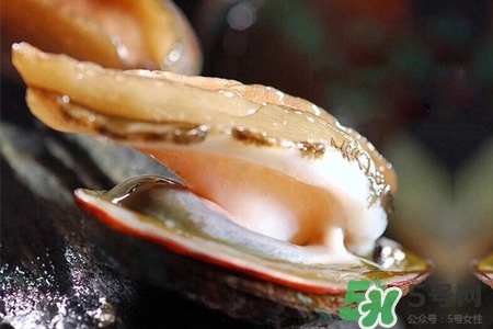 鮑魚一次最多吃幾個？鮑魚吃多了有什么不好的？