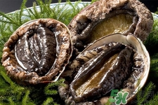 吃鮑魚(yú)要注意些什么？吃鮑魚(yú)會(huì)過(guò)敏嗎？