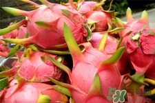 火龍果能天天吃嗎？火龍果每天都吃好嗎？