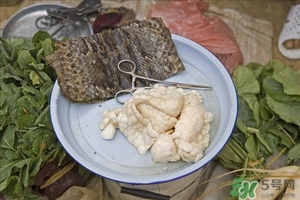 吃蛇肉有什么好處?蛇肉的營(yíng)養(yǎng)價(jià)值及功效