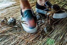 vans與acu合作款鞋子多少錢？vans與acu合作款鞋子價格