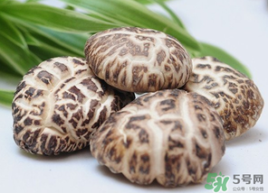 吃香菇有什么好處？吃香菇有什么壞處？