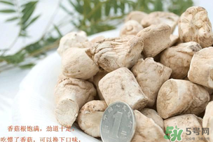 香菇根能吃嗎？香菇的根可以吃嗎？