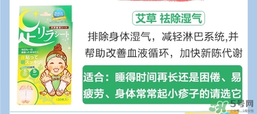 樹之惠足貼5款區(qū)別？樹之惠足貼哪款好用？