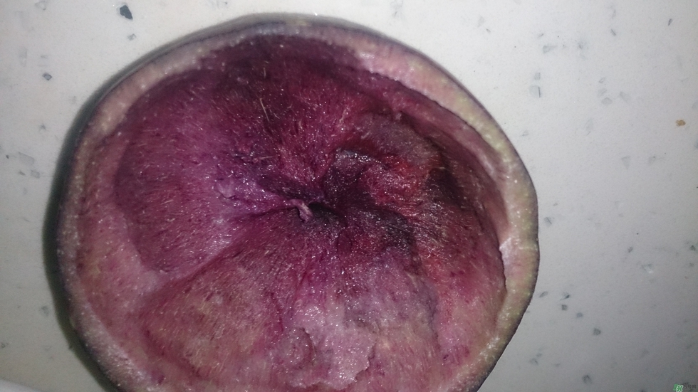 牛奶果怎么吃？牛奶果的功效與作用