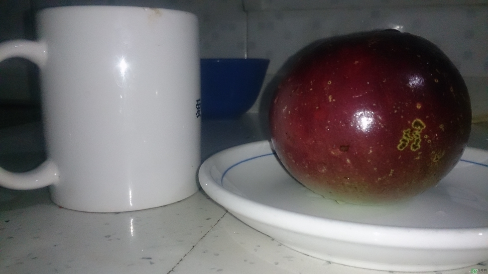 牛奶果怎么吃？牛奶果的功效與作用
