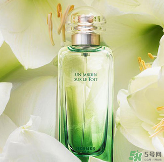愛馬仕香水怎么看真假？愛馬仕香水真假鑒別圖