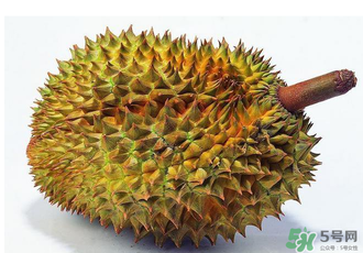吃完牛肉可以吃榴蓮嗎？牛肉和榴蓮能一起吃嗎？