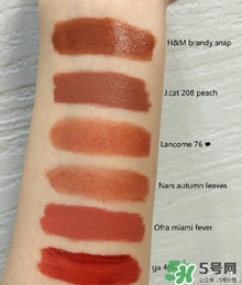 南瓜色口紅試色 南瓜色口紅試色圖 南瓜色口紅試色 南瓜色口紅試色圖