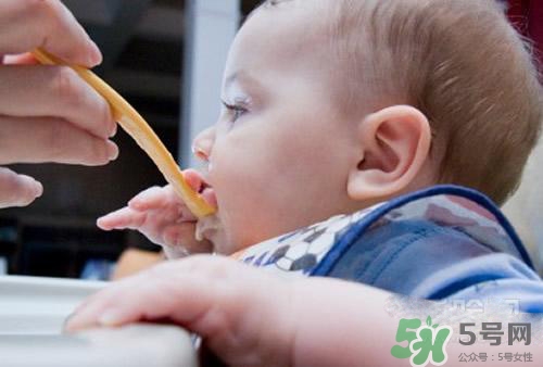 6個(gè)月的寶寶可以吃肉泥嗎？寶寶幾個(gè)月可以吃肉泥？