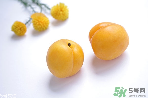 黃杏是什么?黃杏的營養(yǎng)價值和功效 黃杏是什么?黃杏的營養(yǎng)價值和功效