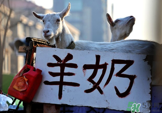 鮮羊奶怎么保存？鮮羊奶放冰箱能放多久？