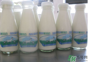 鮮羊奶可以直接喝嗎？鮮羊奶怎么喝最好？
