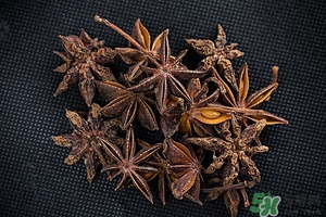 小茴香怎么吃?小茴香的功效與作用 小茴香怎么吃?小茴香的功效與作用