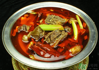 狗肉不能和什么一起吃？狗肉和什么相克？