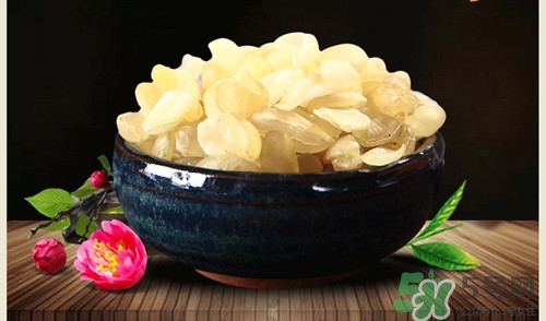 皂角米哪些人不宜吃?禁忌事項介紹 皂角米哪些人不宜吃?禁忌事項介紹