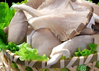 平菇的營養(yǎng)價(jià)值 平菇的功效與作用 平菇的營養(yǎng)價(jià)值 平菇的功效與作用