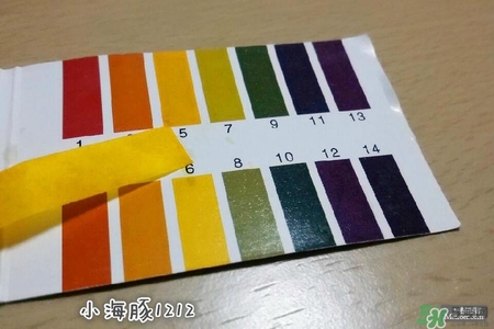賽貝格哪里買？賽貝格哪里有專柜？