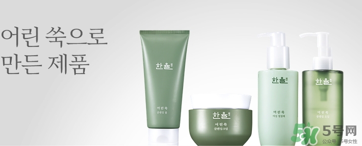 韓律艾草洗面奶多少錢？韓律艾草洗面奶專柜價格