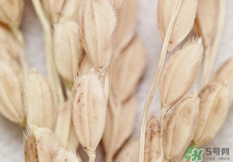 韓律適合什么膚質(zhì)？韓律適合敏感肌膚嗎？