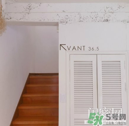 vant氣墊粉底霜怎么樣？vant36.5粉霜粉膏好用嗎？