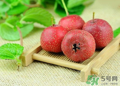 新鮮山楂什么時候上市？新鮮山楂什么時候成熟？
