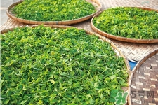 冬天可以喝綠茶嗎？冬天喝綠茶好還是紅茶好？