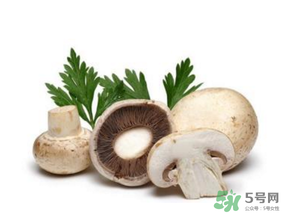 草菇怎么保存？新鮮草菇怎么保存？