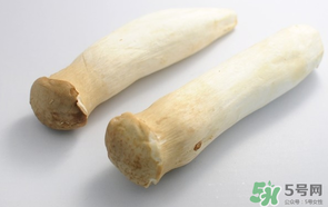 雞腿菇長白毛能吃嗎？雞腿菇怎么做好吃？