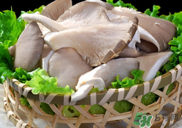 蘑菇可以放冰箱嗎？蘑菇放冰箱長毛了能吃嘛？