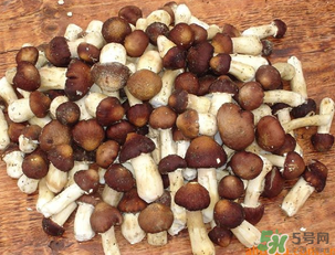 草菇可以放冰箱嗎？草菇放冰箱還能吃嗎？