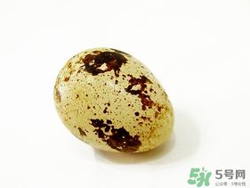 鵪鶉蛋不能和什么一起吃？鵪鶉蛋不能與什么同食？