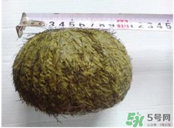 羊?qū)毷鞘裁?？羊?qū)殲槭裁催@么貴？