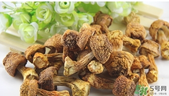 巴西蘑菇怎么吃？巴西蘑菇的作用與功效
