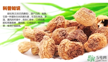 巴西蘑菇怎么吃？巴西蘑菇的作用與功效