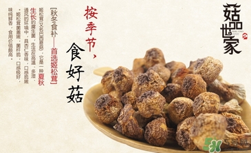 巴西蘑菇怎么吃？巴西蘑菇的作用與功效