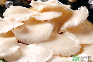 平菇怎么洗？平菇怎么洗才干凈？