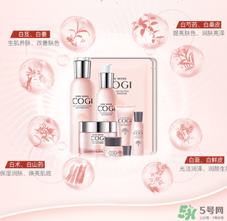高姿大白水一套多少錢(qián)？高姿大白水多少錢(qián)一瓶？
