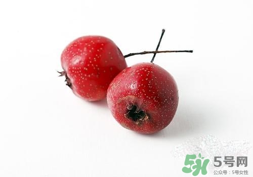 孕婦可以吃山楂嗎？孕婦吃山楂好嗎？