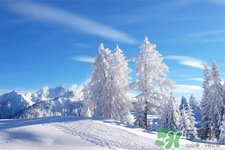 下雪天適合吃什么？下雪天吃什么食物好？