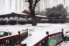 下雪天適合吃什么？下雪天吃什么食物好？