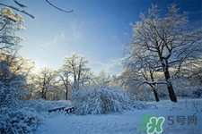 下雪天會打雷嗎？下雪天為什么會大雷？