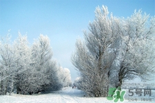 下雪天會打雷嗎？下雪天為什么會大雷？