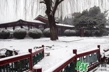 下雪高鐵會停運嗎？下雪天會影響高鐵嗎？