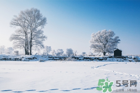下雪高鐵會停運嗎？下雪天會影響高鐵嗎？