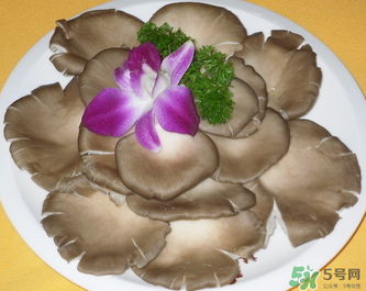 平菇是發(fā)物嗎？平菇是不是發(fā)物？