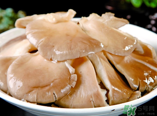 平菇是發(fā)物嗎？平菇是不是發(fā)物？